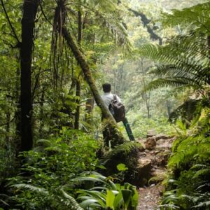 8df8bdd44bc490cb1945c95d9e369f7931d82a9d